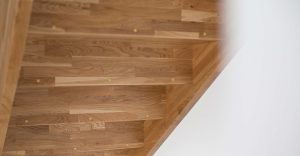 Architektur Wohnungsbau Park Quartiere Altfranken